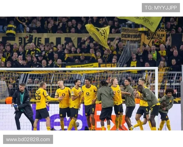 多特蒙德火力全开欧冠赛季连续三场狂轰四球展现强劲攻击力